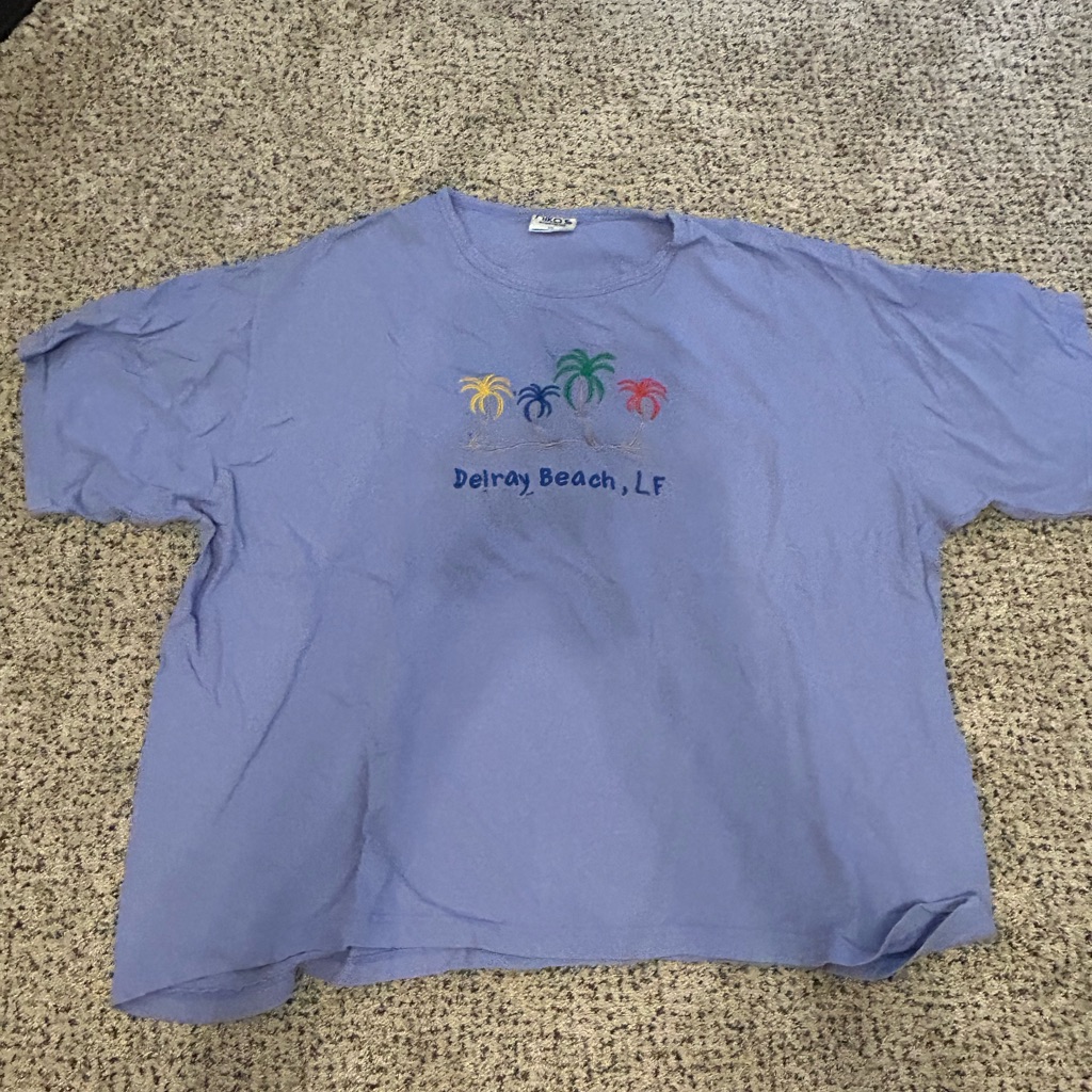 Blue Delray Beach T-Shirt With Palm Tree Design